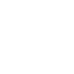 black friday site web